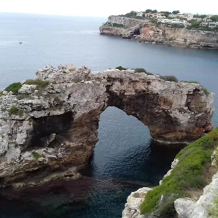 Flor * Cala Figuera (Mallorca)
