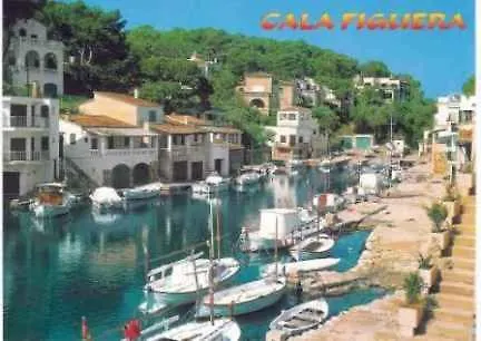 Flor * Cala Figuera (Mallorca)