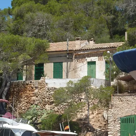 Flor Cala Figuera (Mallorca)